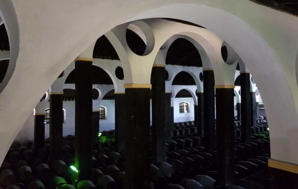 Tecnovino- La Arboledilla Catedral de la Manzanilla Bodegas Barbadillo 1