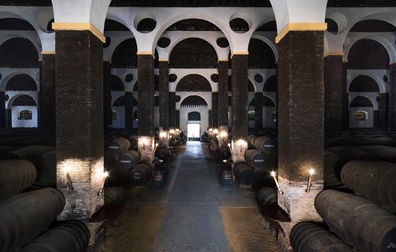 Tecnovino- La Arboledilla Catedral de la Manzanilla Bodegas Barbadillo 2