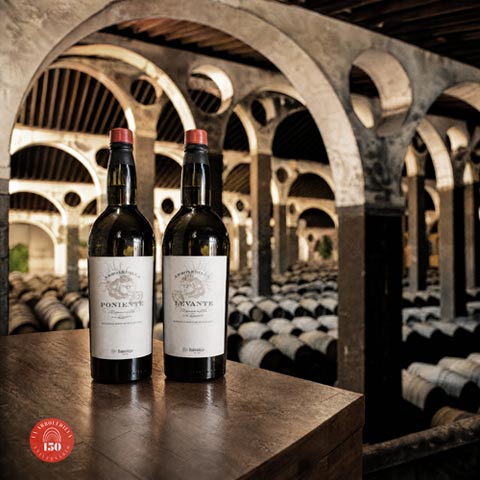 Tecnovino- La Arboledilla Catedral de la Manzanilla Bodegas Barbadillo vinos, 3