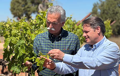 Tecnovino- Manuel Arroyo y Rafael Veas, Agrícola Carrascas