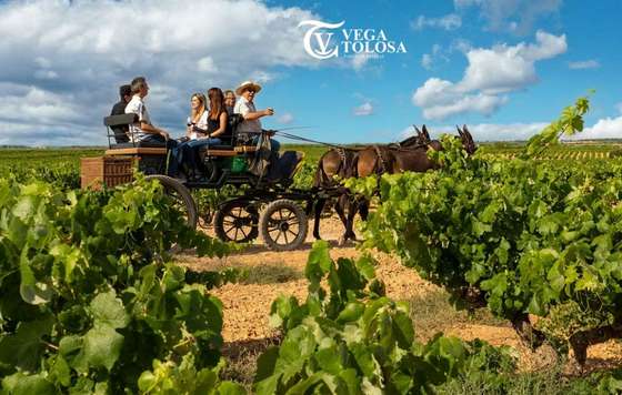 Tecnovino- Pagos de Familia VEGA TOLOSA Mejor Bodega en los Premios Nacionales de Turismo Rural 2026
