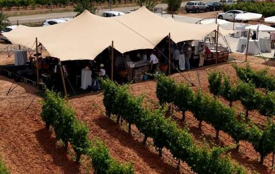 Tecnovino- Palacio de Bornos DO Rueda Gran Vino de Rueda