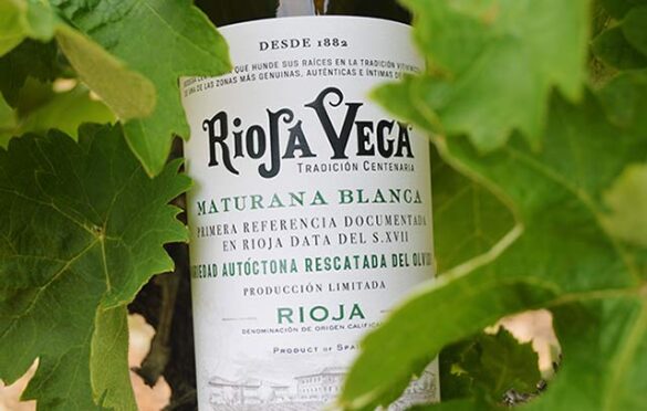 Tecnovino- Rioja Vega Maturana Blanca, vino y hojas vid