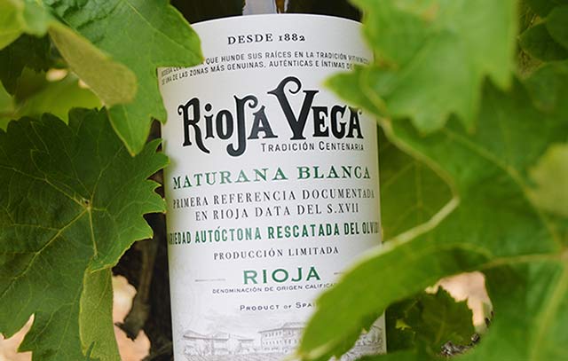 Tecnovino- Rioja Vega Maturana Blanca, vino y hojas vid
