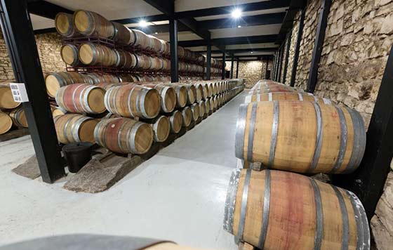 Tecnovino- digitalización de bodegas, gestión, Zucchetti