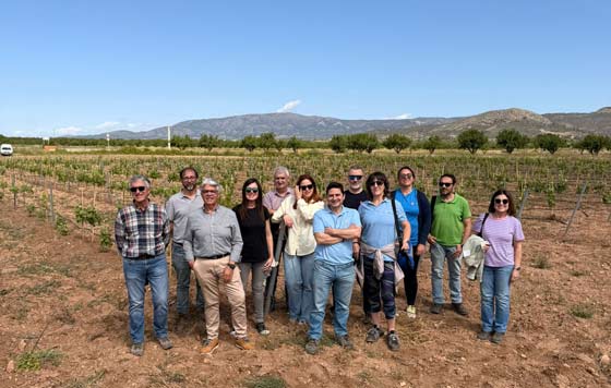 Tecnovino- investigación clonal monastrell DOP Alicante