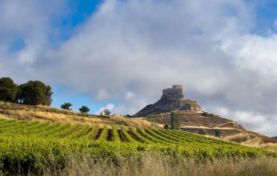 Tecnovino- vinos refrescantes Bodegas Comenge 