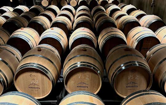 Tecnovino- Bodegas Sonsierra concurso