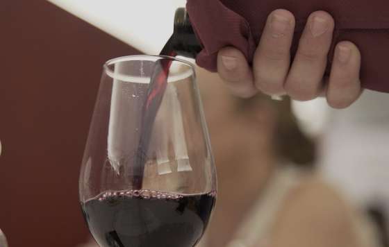 Tecnovino- Ecoracimo 2026 vinos y vinagres ecológicos