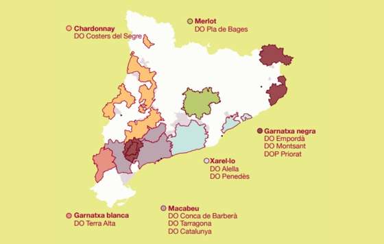 Tecnovino- INCAVI Atlas de Variedades de Viña de Cataluña
