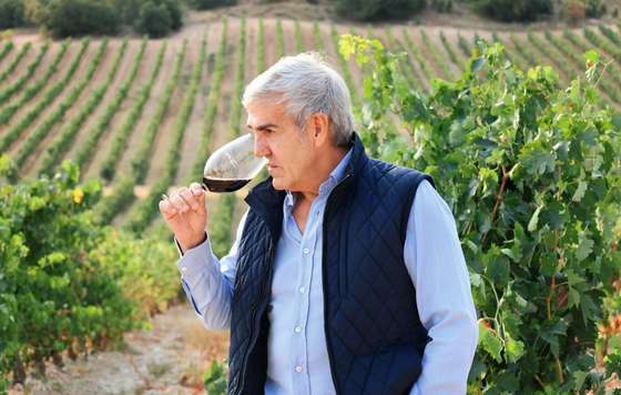 Tecnovino- José Moro, bodegas Cepa 21