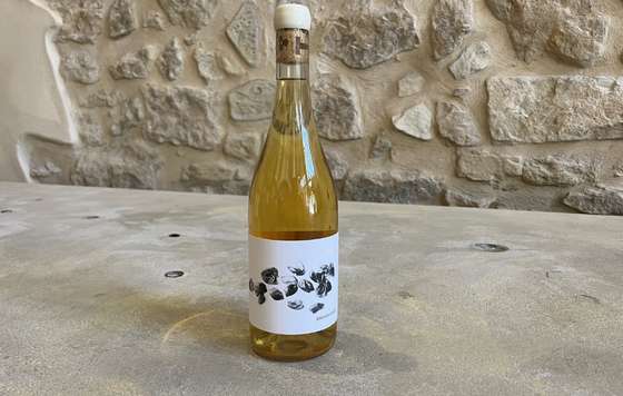 Tecnovino- botella de Messerols, vino brisado de garnacha blanca de Cooperativa de Gandesa