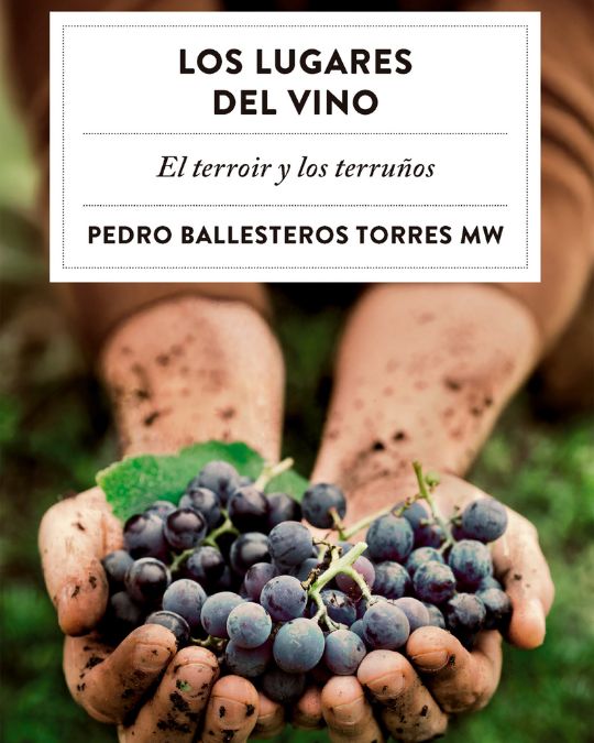 Tecnovino- Pedro Ballesteros Torres MW «Los lugares del vino: El terroir y los terruños»