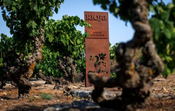 Tecnovino- Viñedo Viejo y Centenario de Rioja