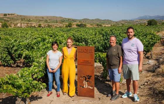 Tecnovino- Viñedo Viejo y Centenario de Rioja