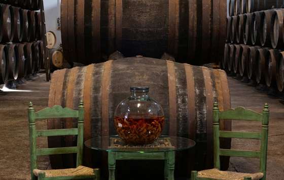 Tecnovino- Vino Naranja del Condado de Huelva