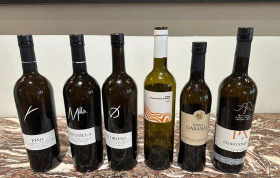 Tecnovino- Vino Naranja del Condado de Huelva