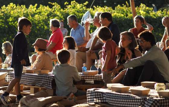Tecnovino- festival de enoturismo «Mahasti Artean» , DOP Bizkaiko Txakolina