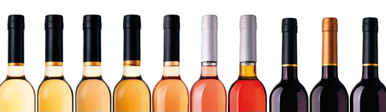 Tecnovino- libro Los colores del vino