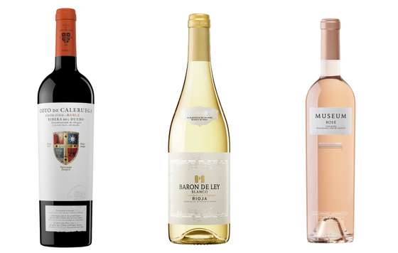 Tecnovino- vinos de corte fresco