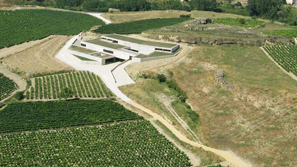 Tecnovino-Bodega Contador: instalaciones y vinedo
