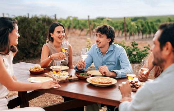 Tecnovino- DO Vinos de Jerez