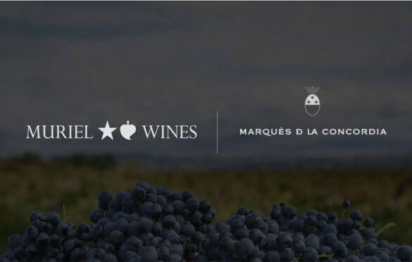 Tecnovino- Muriel Wines: compra de Marqués de la Concordia