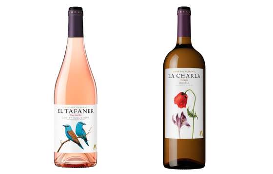 Tecnovino- Raventós Codorníu, Colección Vinos del Paseante