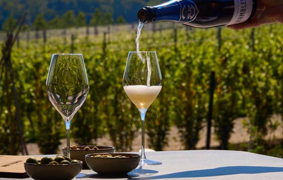 Tecnovino- vinos examen Diploma WSET: Hambledon Sparkling Wine