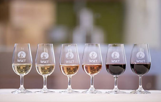 Tecnovino- vinos examen Diploma WSET
