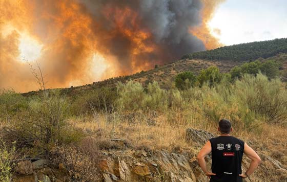 Tecnovino - Bodegas Frontonio incendio
