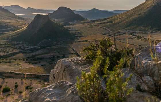 Tecnovino- Campaña "Tesoros del Vino Europeo": Grecia y la DOP Jumilla EEUU