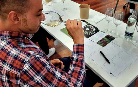 Tecnovino - Curso de Sumiller Canarias de DO Ycoden Isora e Islas Canarias
