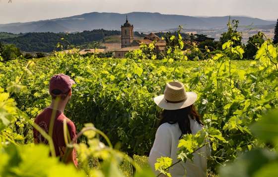 Tecnovino- Enoturismo, Rutas del Vino de España