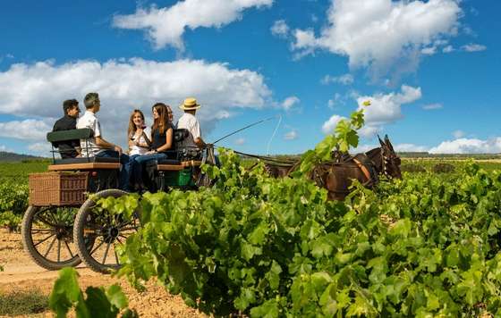 Tecnovino- Enoturismo, Rutas del Vino de España