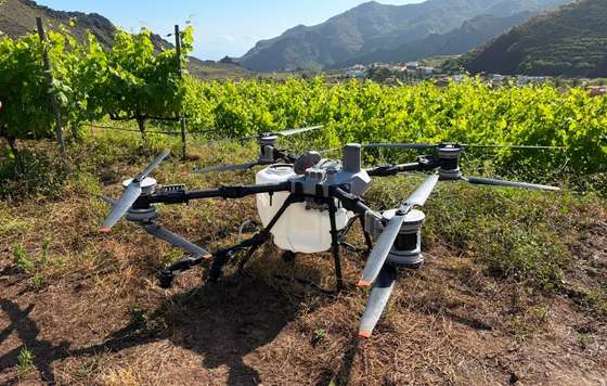 Tecnovino- Inteligencia artificial drones DOP Islas Canarias – Canary Wine