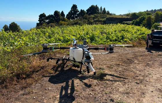 Tecnovino- Inteligencia artificial drones DOP Islas Canarias – Canary Wine