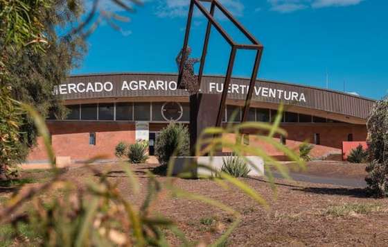 Tecnovino- Más Que Vinos, Mercado Agrario de la Biosfera
