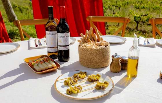 Tecnovino- Ramón Bilbao Verdejo
