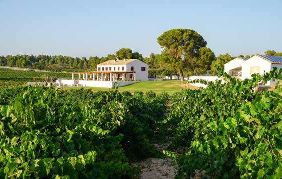 Tecnovino- bodega Clos Cor Ví: finca