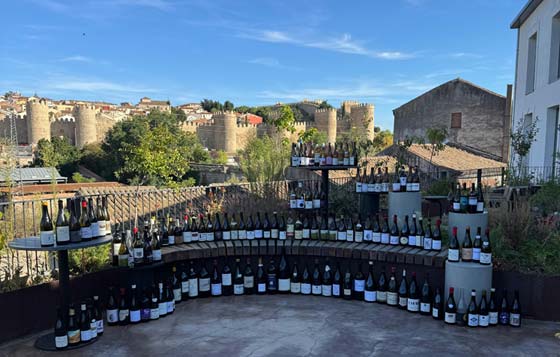 Tecnovino - bodegas Gredos Vivo, iniciativa Surco Avila recaudar fondos
