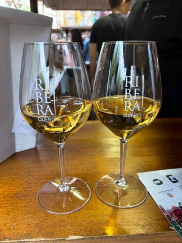 Tecnovino- Gran fiesta de la vendimia de la DO Ribera del Duero: copas