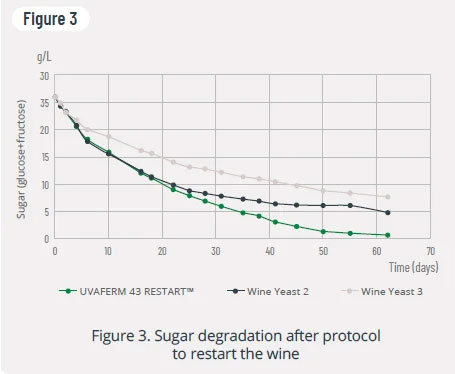 Tecnovino - reiniciar fermentación parada levaduras vínicas fructófilas, Lallemand Wine, fig. 3b