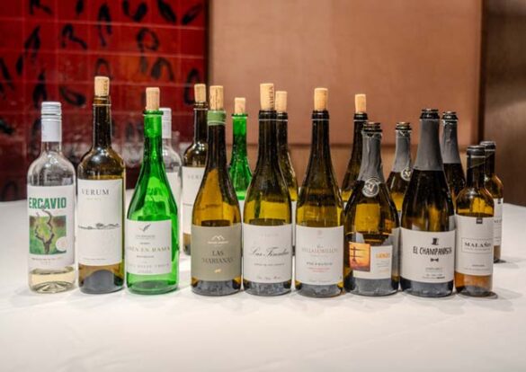 Tecnovino - variedad airén, vino: Joaquín Parra, de WineUp