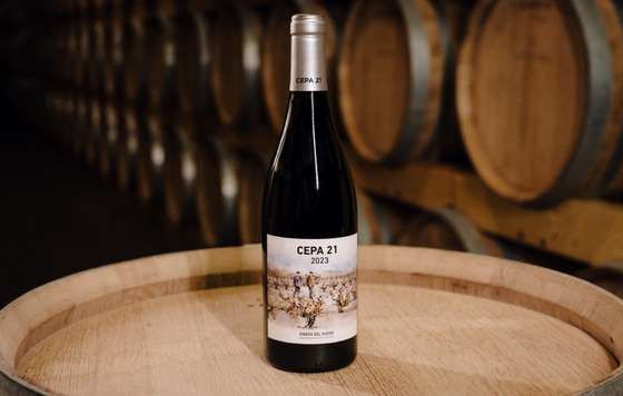 Tecnovino- vino Cepa 21 2023