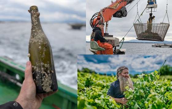 Tenovino- Albariño Sketch, crianza sumergida