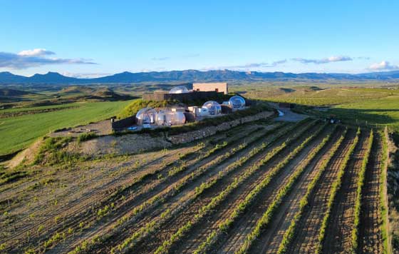 Tecnovino- BOWT Bilbao Rioja 2027, Wine Bubble