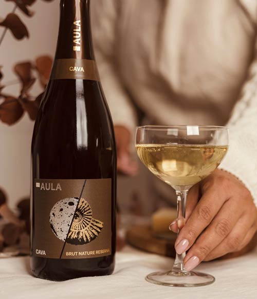 Tecnovino - Coviñas, cava de Requena, Aula Brut Nature Reserva