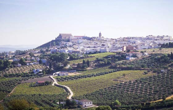 Tecnovino- Montilla Ciudad Española del Vino 2027, foto Ayuntamiento Montilla
