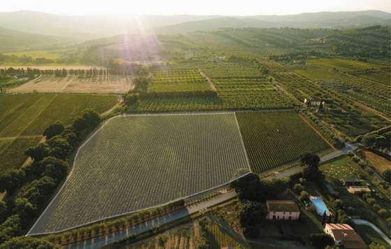 Tecnovino- Primeras Marcas, Gaja Ca’Marcanda